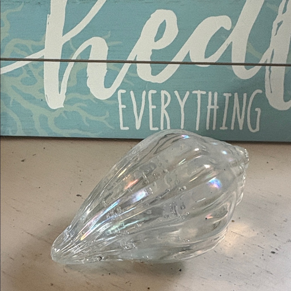 Iridescent Seashell Display - Picture 3 of 5